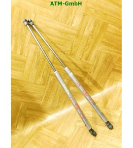 Gasdruck Gasdämpfer x 2 Stück hinten Heckklappendämpfer VW Golf 4 IV 3 türig