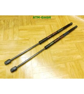 Gasdruck Gasdämpfer 2 Stück hinten Heckklappendämpfer Renault Megane Scenic 2 II