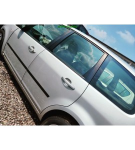 Tür hinten links Ford Focus C-Max Farbcode 03 O3 Grau Polarsilber Metallic