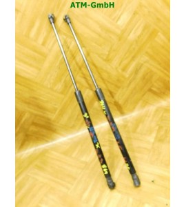 Gasdruck Gasdämpfer hinten x 2 Stück Heckklappendämpfer VW Polo 9N3 3 türig