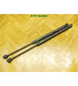Gasdruck Gasdämpfer x 2 Stück hinten Heckklappendämpfer Citroen C3 9639853880