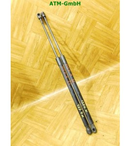 Gasdruck Gasdämpfer Heckklappendämpfer x 2 Stück hinten Opel Meriva A