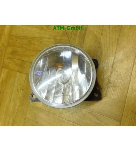 Nebelscheinwerfer Nebelleuchte NSW NSL vorne links Peugeot 207 Fahrerseite