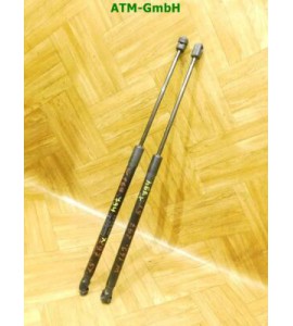 Gasdruck Gasdämpfer Heckklappendämpfer x 2 Stück Mercedes Benz A-Klasse W169