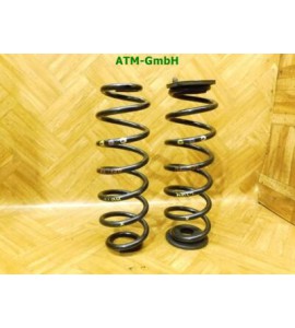 Feder Federn x 2 Stück hinten VW Passat B6 Kombi Variant 3C5