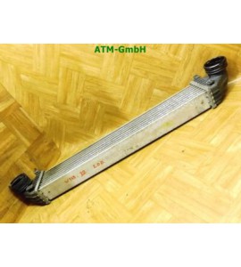 Ladeluftkühler Mercedes Benz A-Klasse W169 Behr A1695000000