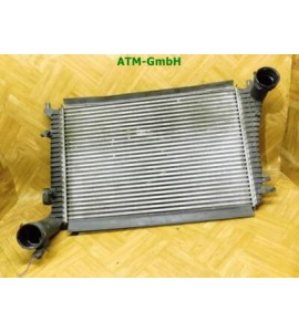 Ladeluftkühler Kühler VW Passat 3C5 B6 3C0145803G