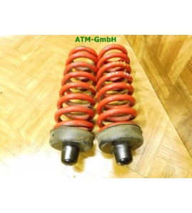 Feder Federn x 2 Stück hinten BMW 3 3er 390L E91 Kombi