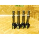 Zündspule Zündspulenset Set x 4 Stück Seat Ibiza 3 III 6L1 Beru 0040102030