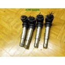 Zündspule Zündspulenset Set x 4 Stück Seat Ibiza 3 III 6L1 Beru 0040102030