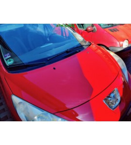 Motorhaube Peugeot 207 Farbcode KKN Farbe Rot Aden
