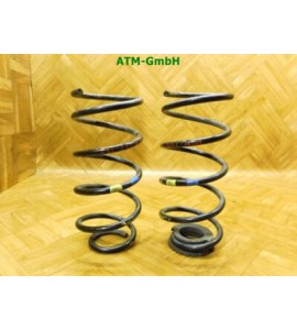 Feder Federn x 2 Stück hinten Fiat Punto 3 III 199 3 türig