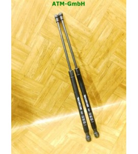 Gasdruck Gasdämpfer hinten x 2 Stück Heckklappendämpfer VW Golf 5 V 1K1