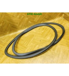 Dichtung Türdichtung vorne links VW Polo 9N 5 türig Fahrerseite