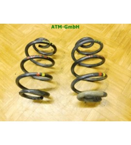 Feder Federn x 2 Stück hinten Renault Clio 3 III