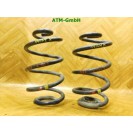 Feder Federn x 2 Stück hinten Renault Clio 3 III