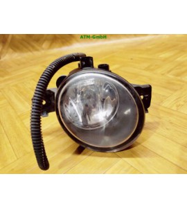 Nebelscheinwerfer Nebelleuchte NSW NSL links Renault Clio 3 III Fahrerseite
