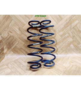 Feder Federn x 2 Stück hinten Ford Fusion