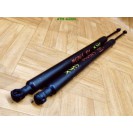 Gasdruck x 2 Stück hinten Heckklappendämpfer Renault Modus 8200219322