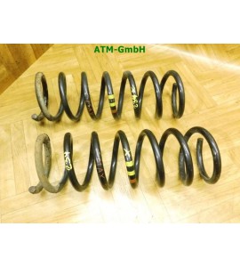 Feder Federn x 2 Stück hinten Ford C-Max DM2