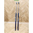 Gasdruck Gasdämpfer x 2 Stück hinten Heckklappendämpfer Opel Meriva GM