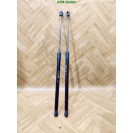 Gasdruck Gasdämpfer x 2 Stück hinten Heckklappendämpfer Opel Meriva GM