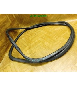 Dichtung vorne links Türdichtung VW Polo 9N 3 türig Fahrerseite