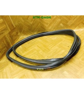 Dichtung vorne links Türdichtung Ford KA 2 II Fahrerseite