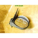 Seitenspiegel rechts Peugeot 206 Farbcode EZR Gris Alluminium 96480957XT