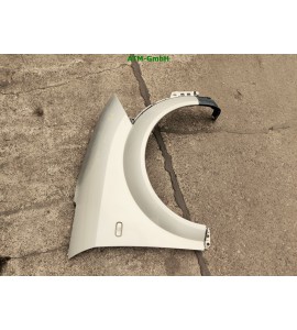 Kotflügel rechts Audi A2 Farbcode LY7W Silbersee Argent Metallic Beifahrerseite