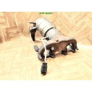 Lambda Lambdasonde x 2 Stück KAT Katalysator Fiat Panda 55195855 BFJV-32