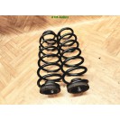 Feder Federn x 2 Stück hinten Seat Ibiza 4 IV