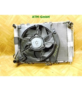 Wasserkühler Gebläsemotor Kühlerlüfter Lüfter Renault Modus 8200688375