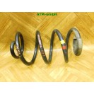 Feder 1 Stück hinten Renault Modus