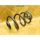 Feder 1 Stück hinten Renault Modus