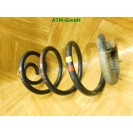 Feder 1 Stück hinten Renault Modus