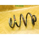 Feder 1 Stück hinten Renault Modus