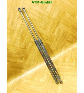 Gasdruck Gasdämpfer Heckklappendämpfer x 2 Stück hinten Audi A3 8P
