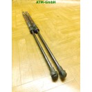 Gasdruck Gasdämpfer Heckklappendämpfer x 2 Stück hinten Audi A3 8P