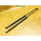 Gasdruck Gasdämpfer Heckklappendämpfer x 2 Stück hinten Audi A3 8P