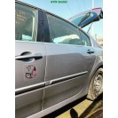 Tür hinten links Renault Laguna 3 5 türig Farbcode TERNR Bleu Ecume Nacret Met