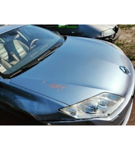 Motorhaube Renault Laguna 3 III Farbcode TERNR Bleu Ecume Nacret Met Metallic