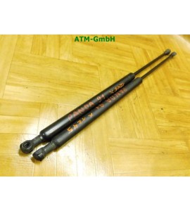 Gasdruck Gasdämpfer Heckklappendämpfer x 2 Stück hinten Fiat Panda 46827091