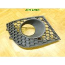 Blende Abdeckung Lüftungsgitter Stoßfänger Seat Ibiza 3 III links Fahrerseite