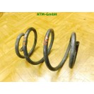 Feder 1 Stück hinten Renault Twingo 2 II 3 türig