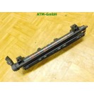 Einspritzleiste Einspritzdüse Seat Ibiza 4 IV 036133320 036133319BT