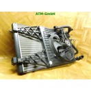 Wasserkühler Kühler Kühlerlüfter Elektrolüfter VW Bora 1J0121253N