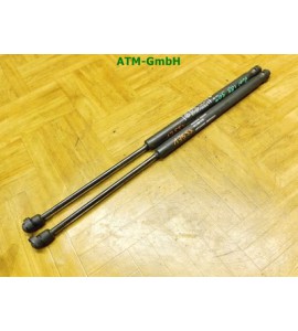 Gasdruck Gasdämpfer hinten Heckklappendämpfer  x 2 Stück Fiat Punto 2 II 188