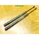 Gasdruck Gasdämpfer hinten Heckklappendämpfer  x 2 Stück Fiat Punto 2 II 188