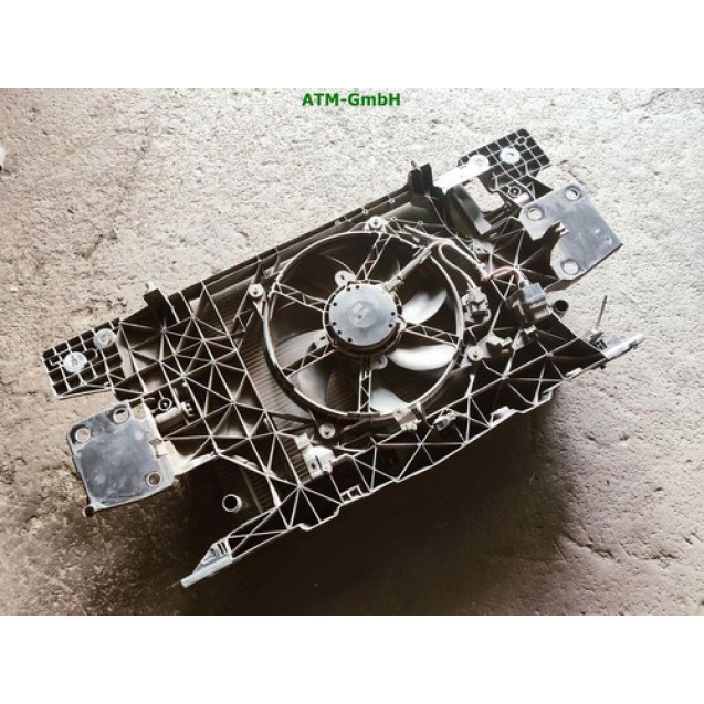 Frontmaske Wasserkühler Elektrolüfter Kühlerlüfter Renault Megane 3 III